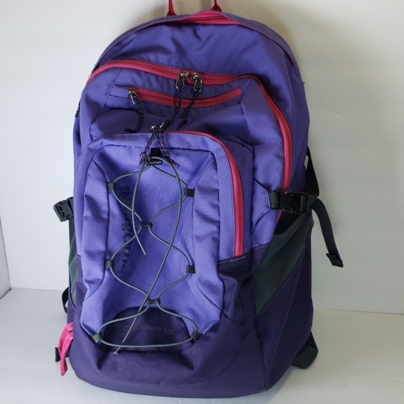 purple patagonia backpack